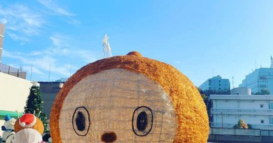 ぴーかぶー🐤♪♪ ぴーかぶー🐤♪♪