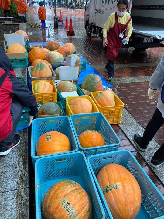 ハロウィンin多摩センター Npo法人 多摩子ども劇場 ハロウィンin多摩センター Npo法人 多摩子ども劇場
