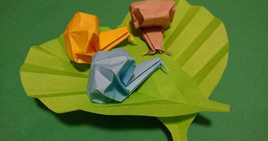ぴーかぶー 6月10日(木) ぴーかぶー 6月10日(木)